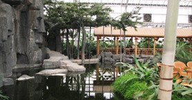 ���B(t��i)�͏d